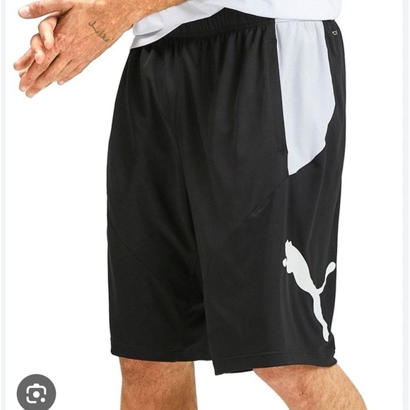 Puma Men's 10" Moisture Wicking Training Cat Shorts Grey/Blue- men short - Picture 10 of 10